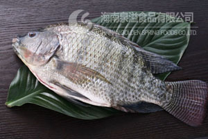 GUTTED & SCALED TILAPIA