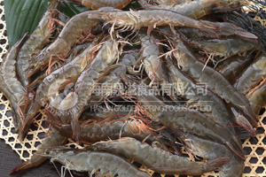 VANNAMEI SHRIMP